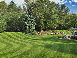 Lorenzo`s Gardening Service