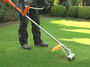 Lorenzo`s Gardening Service
