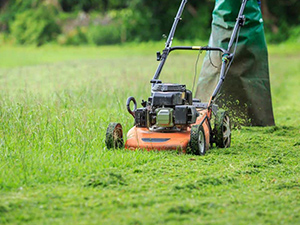 Lorenzo`s Gardening Service