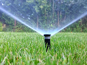 Lorenzo`s Gardening Service