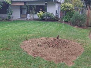 Lorenzo`s Gardening Service