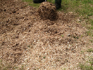 Lorenzo`s Gardening Service
