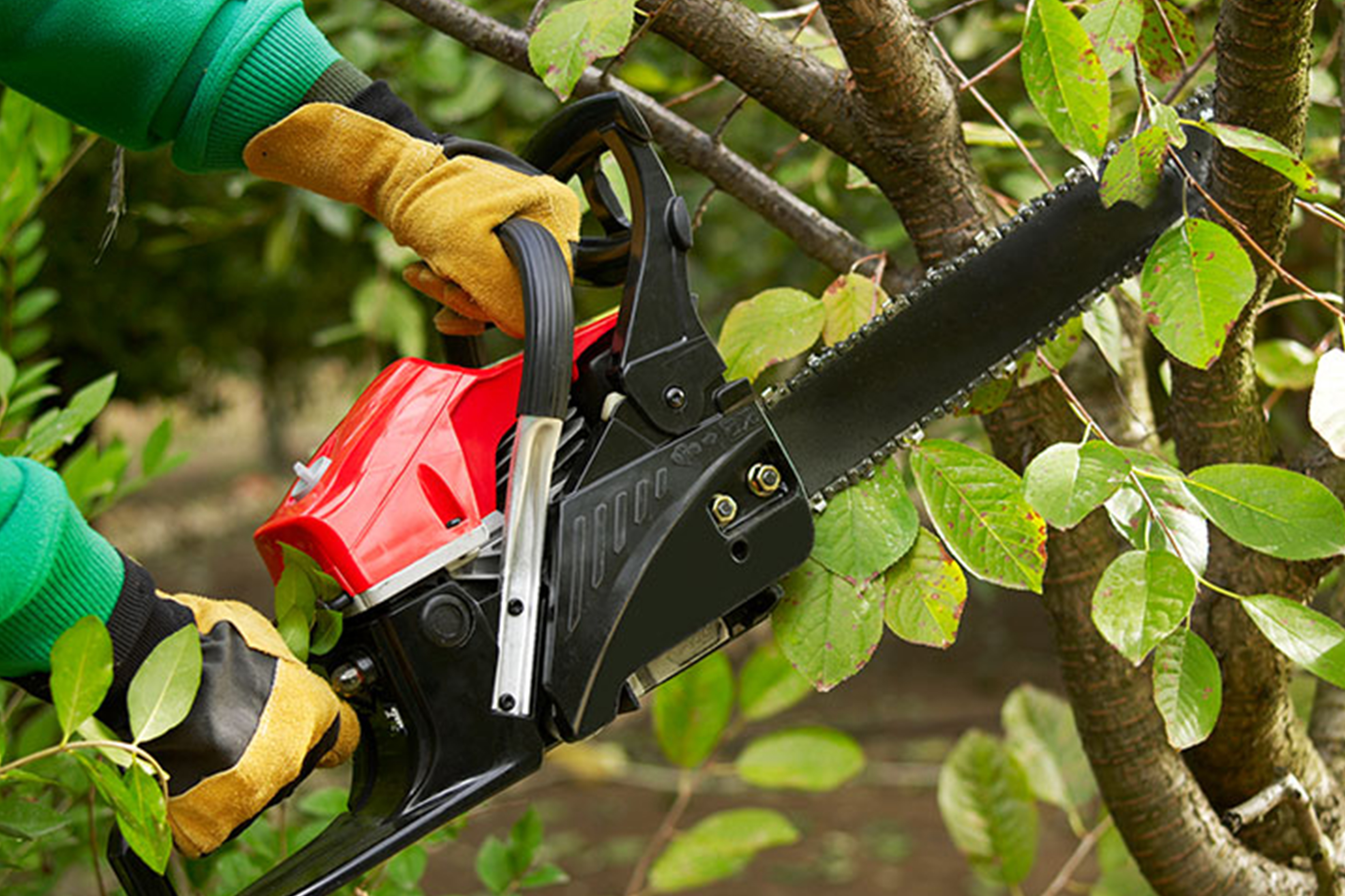Lorenzo`s Gardening Service